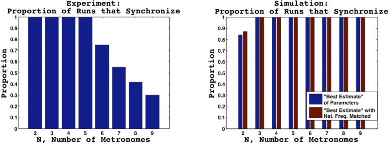 File:SyncProportion.jpg